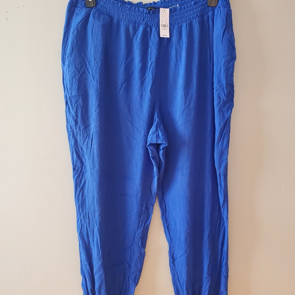 New York & Company Jogger Pant/Blue